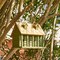 Green Solid Wood and Metal Acorn-Shaped Bird Feeder with Locking Roof and Mesh